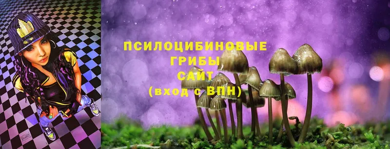 Галлюциногенные грибы Psilocybe  как найти   Нижние Серги 